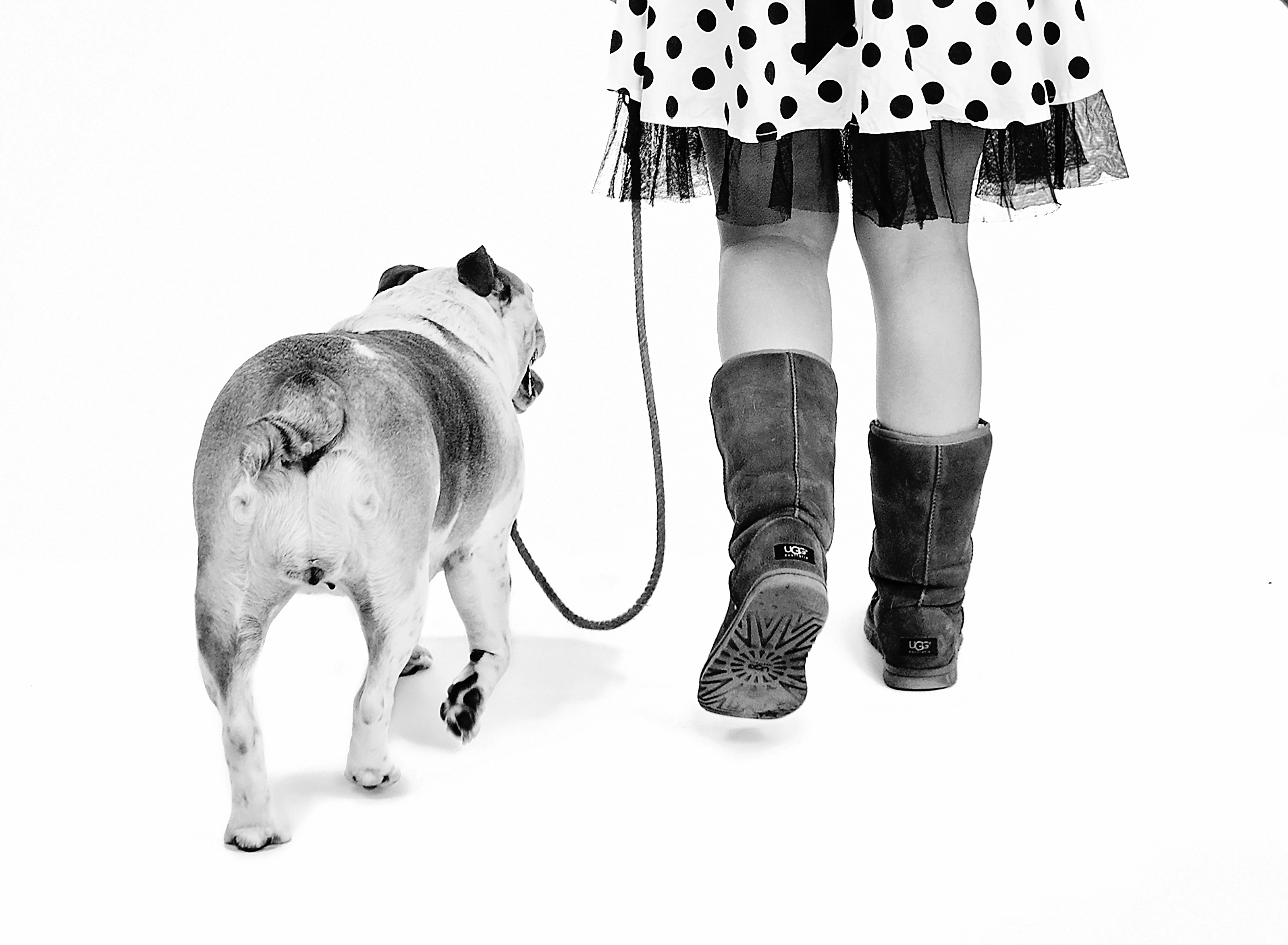 Awardwinning Woofs n Wiggles Dog Daycare helps Colchester's Air