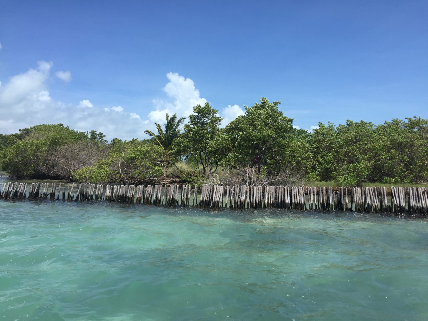 Introducing the World's First Crowdfunded Private Island and How You